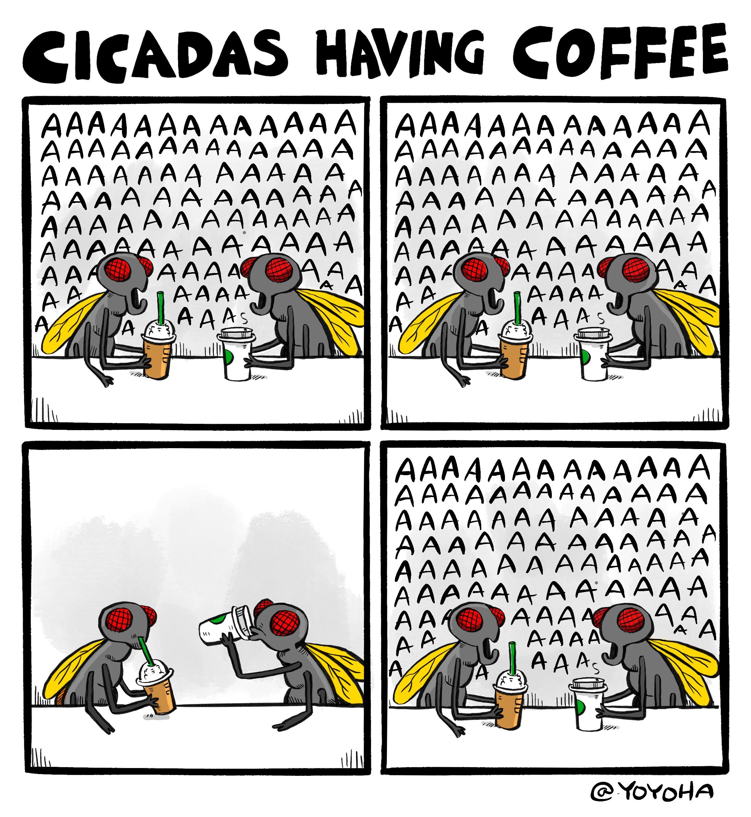 cicadas having coffee