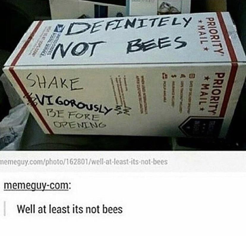 Well at least it’s not bees…