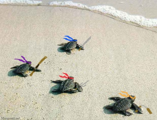 TMNT the Early Years