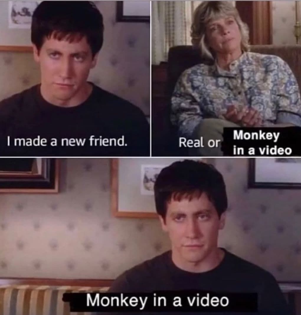 new monke new fren