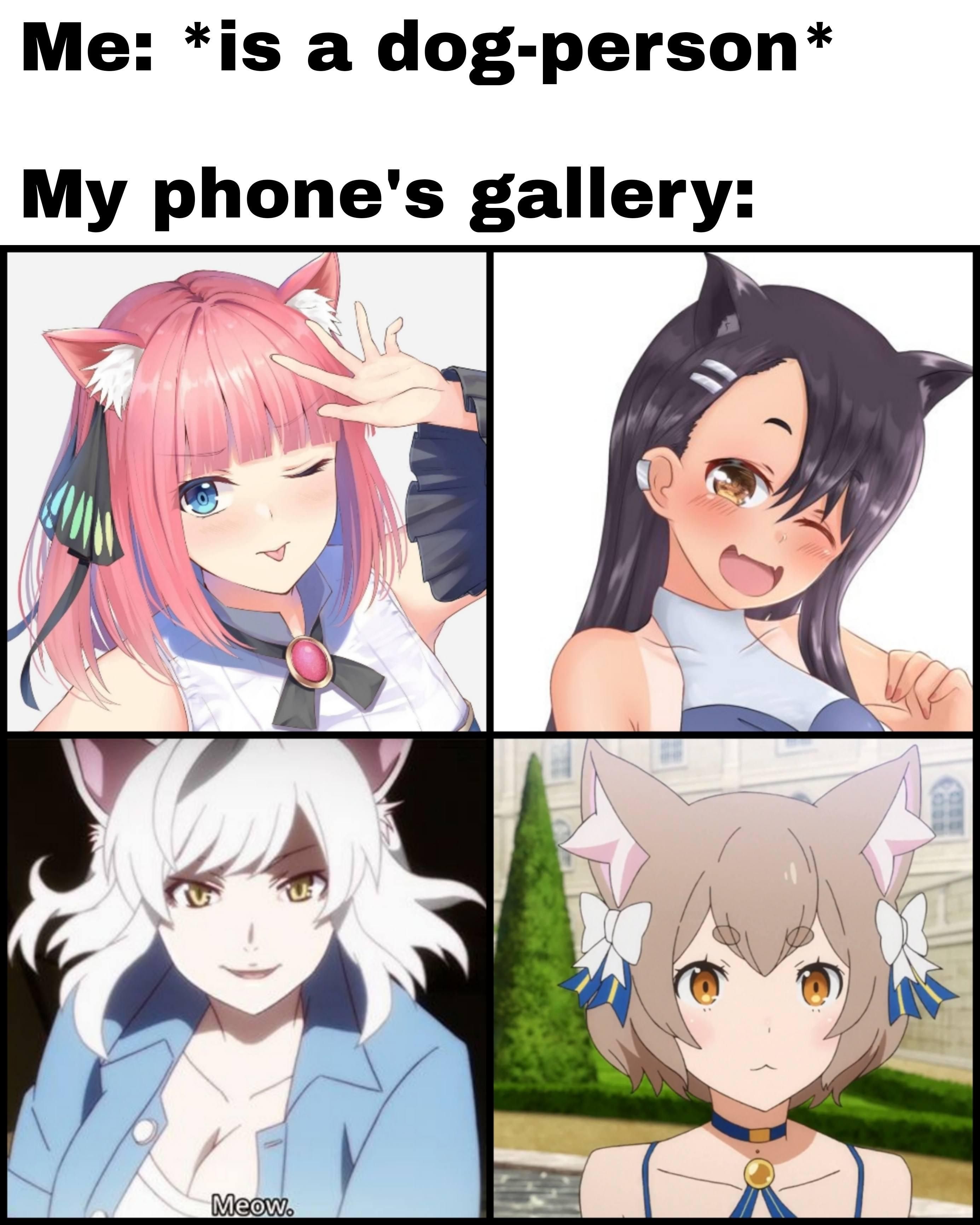 Catgirls are adorable