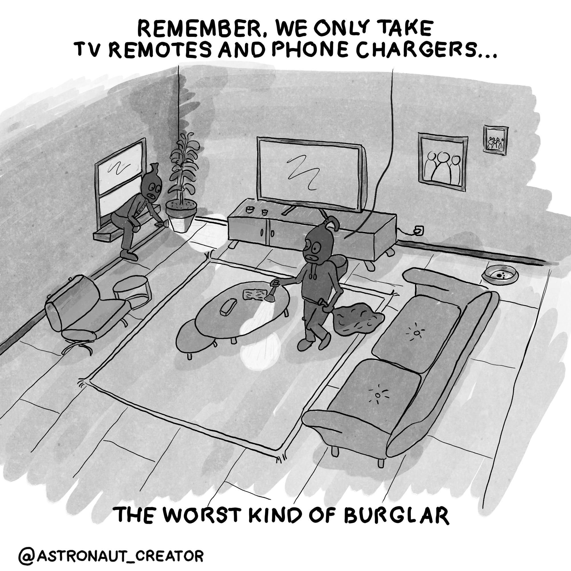 Bad Burglars