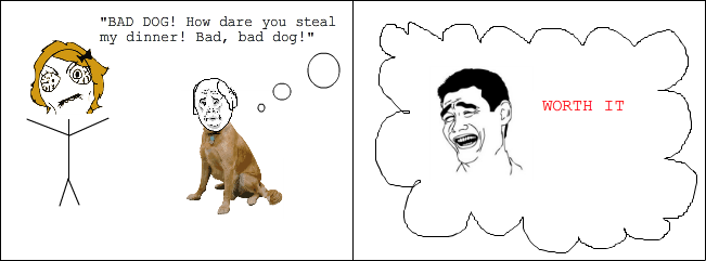 How dogs really feel when they've done something bad