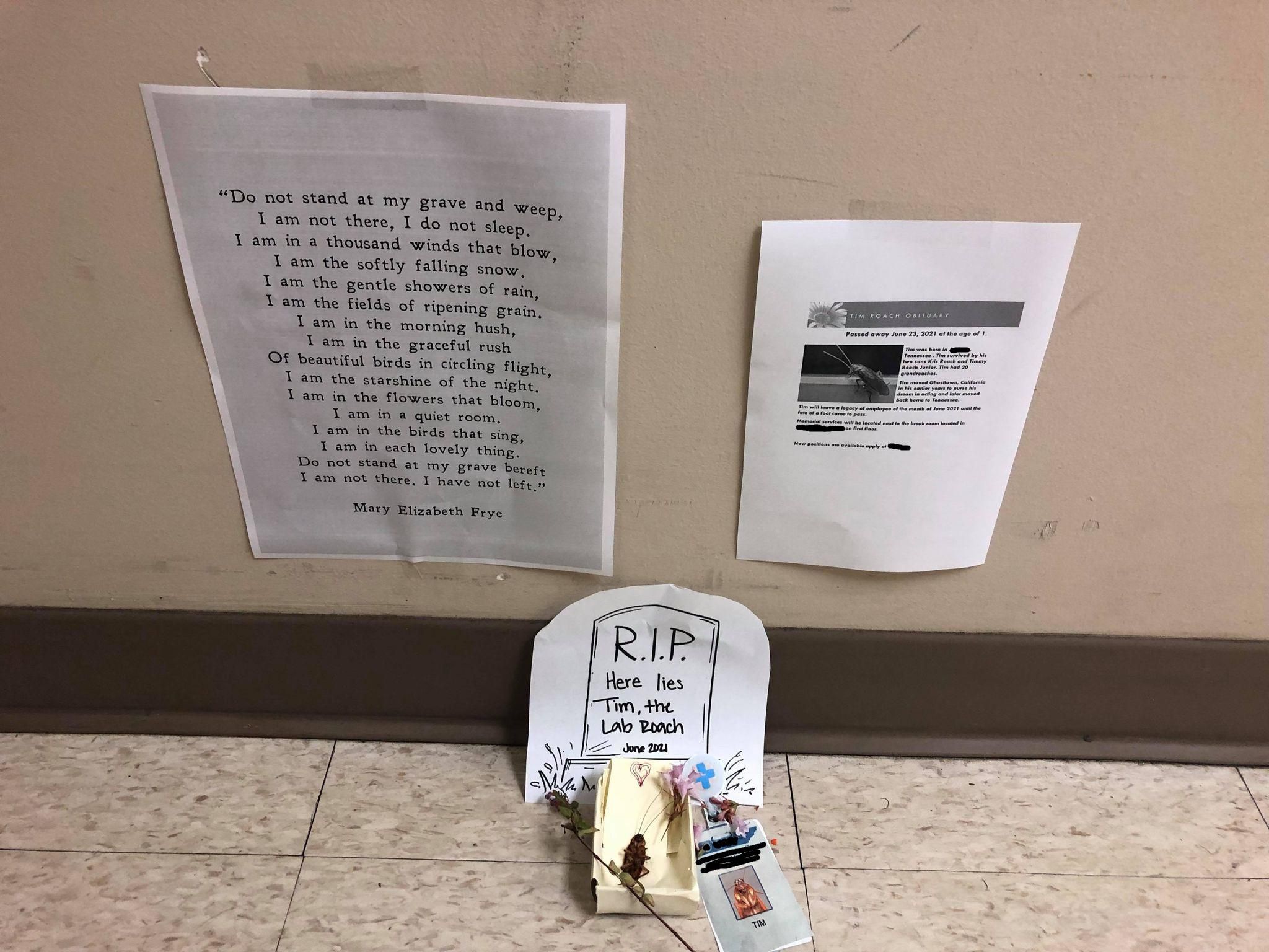 A poor soul passed away outside of the break room today. Employees thought it fitting to honor him as best they could.