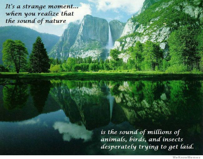 Ahhh nature