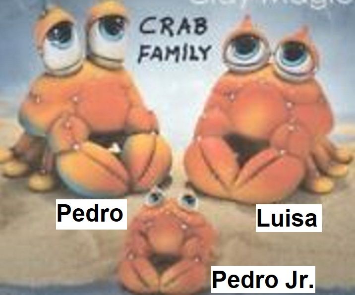 pedro has quit LSD to build a family with Luisa