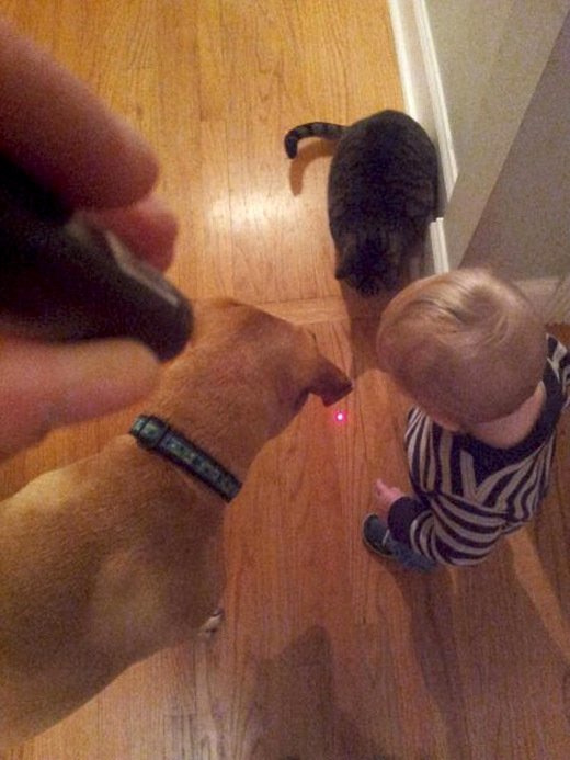 Like cat like dog like kid