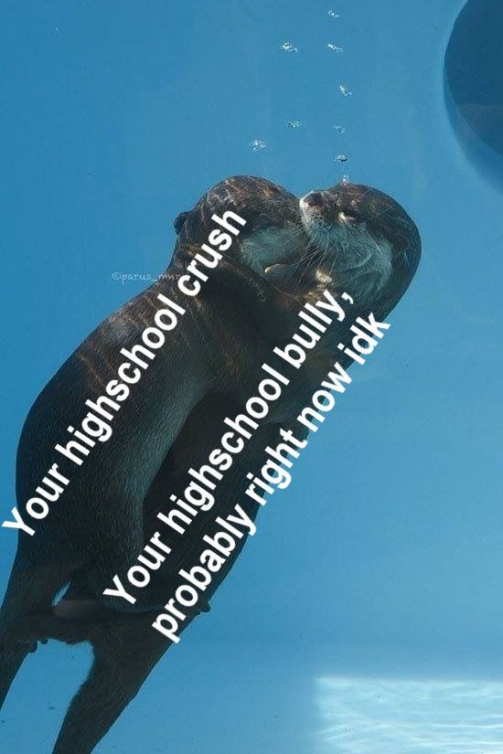 yes