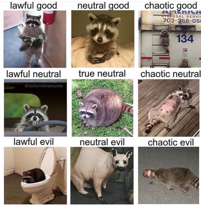 alignment