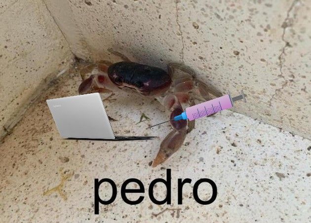 pedro is neglecting his family to get high on heroin and porn