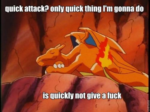 One of the reasons why I love Charizard that much !