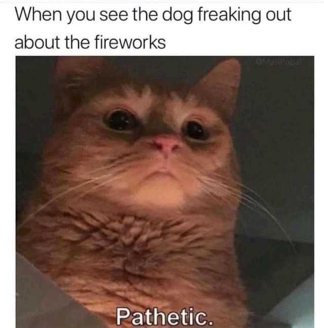 Pathetic!