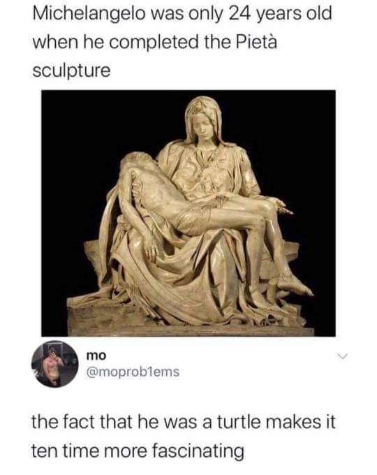 What an artistic turtle