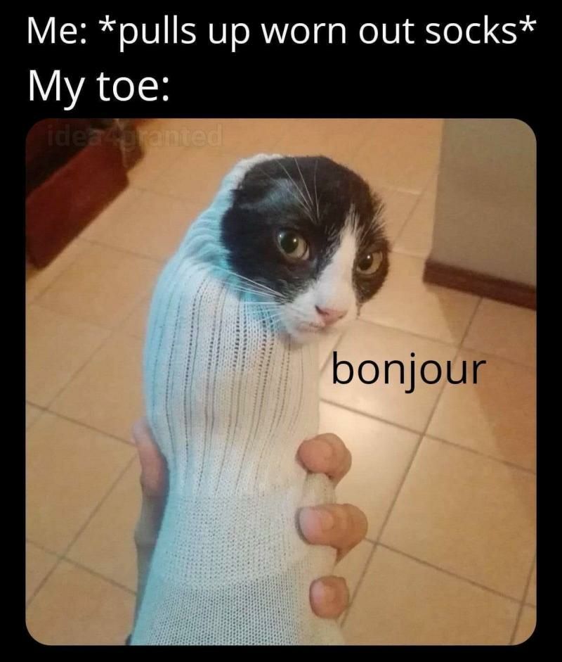 Bonjour