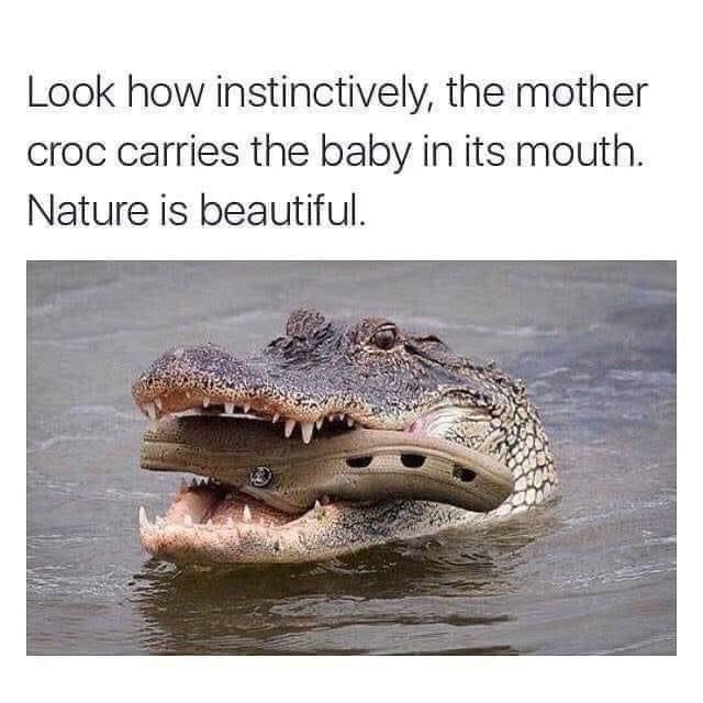 Nature is beautiful