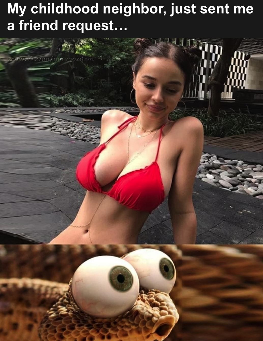 O_O