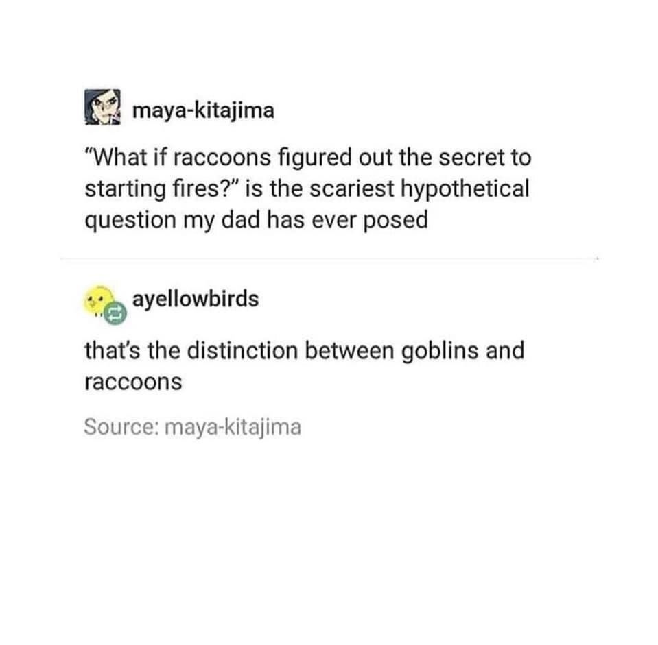 Raccoons are just underdeveloped goblins
