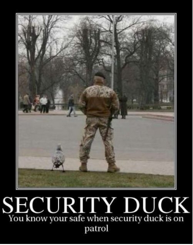You can always count on security duck