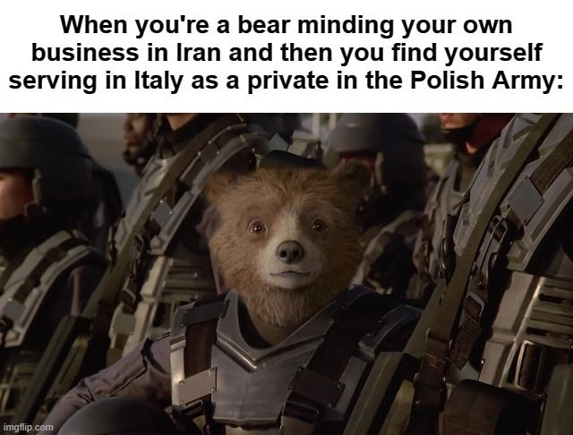 Wojtek is tired of the puns; it's un-bear-able