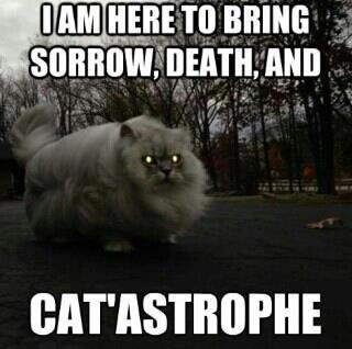 In Death pain ceases