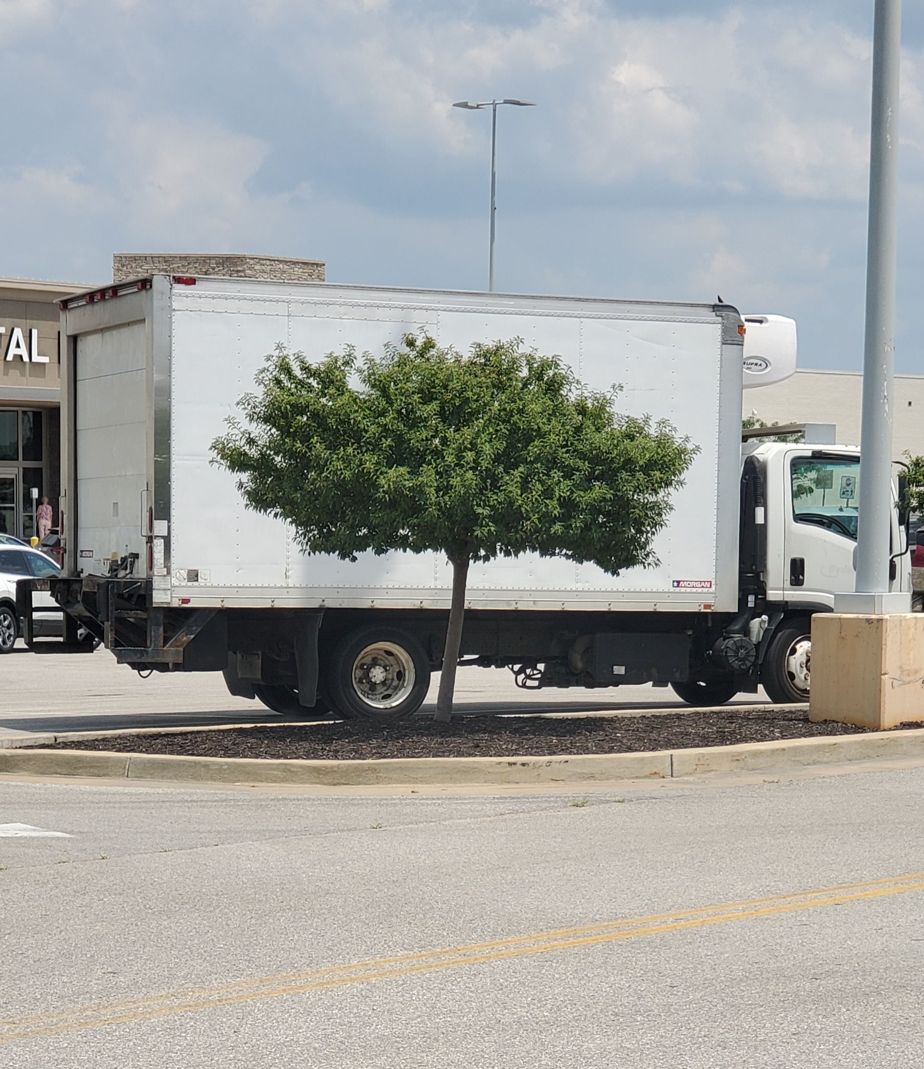 At first glance I thought this truck had a cool realistic tree painted on it.
