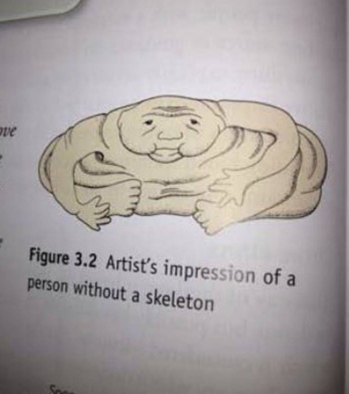 Why does this textbook illustration make me laugh so hard