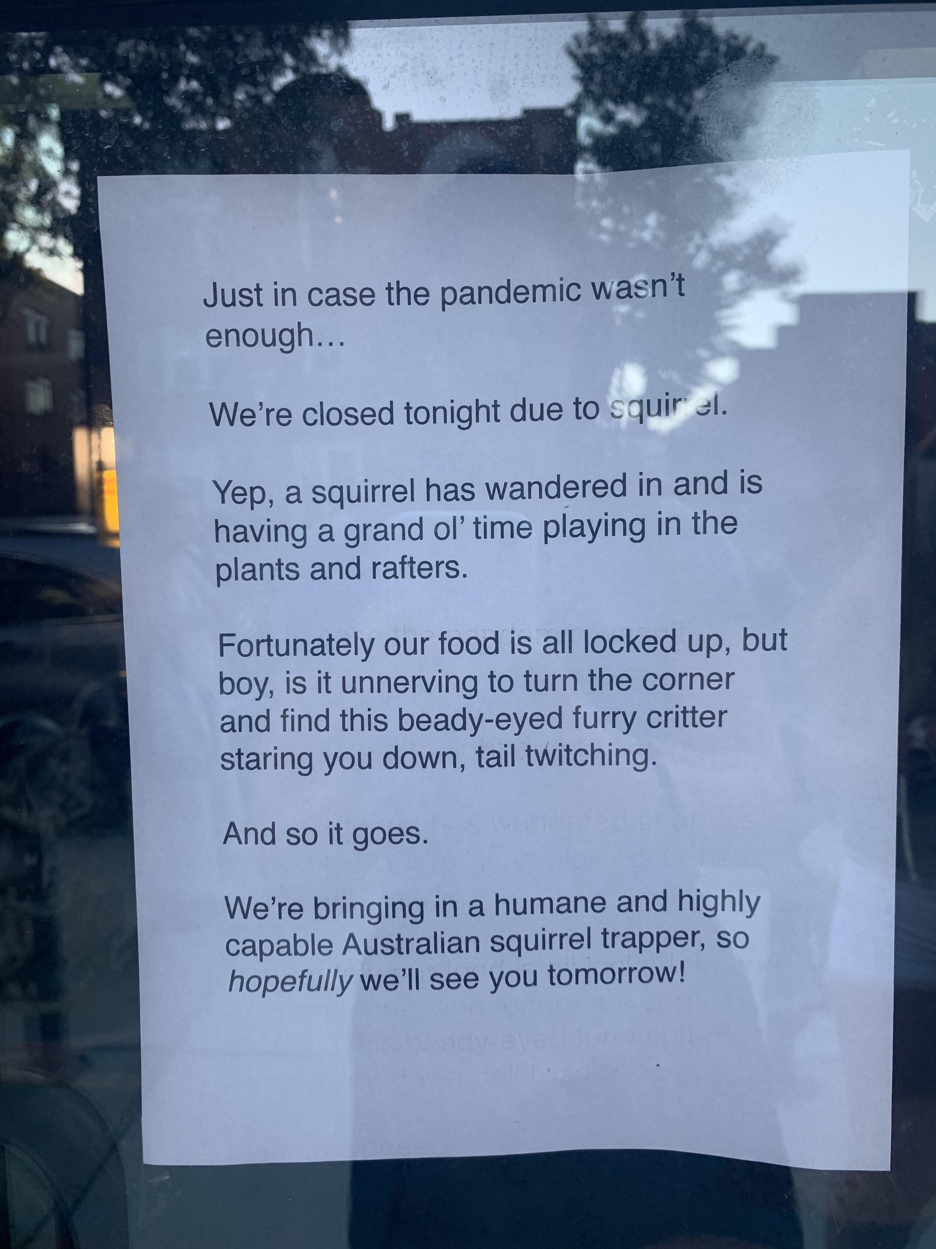 Due to squirrel.