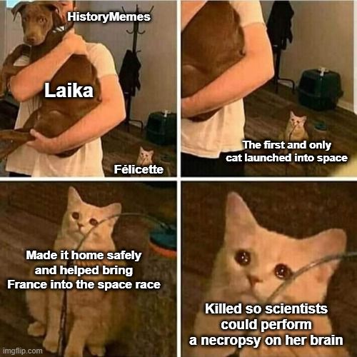 To be honest, who had even heard of France before they launched a cat into space?