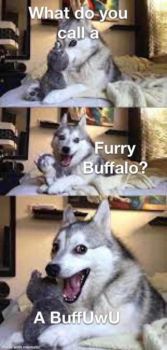 Bringing back the Bad Pun Dog meme with some OC