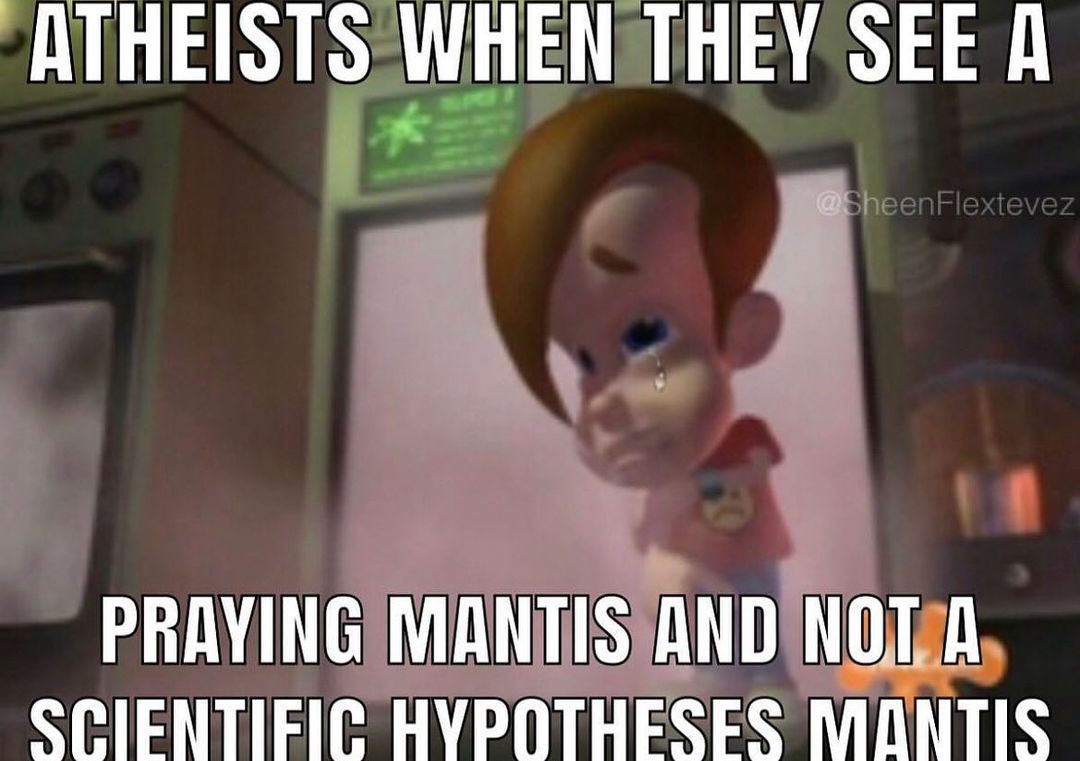 Einstein Mantis