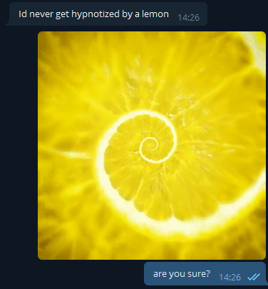 that's a bold claim for someone currently being hypnotized by a lemon to say