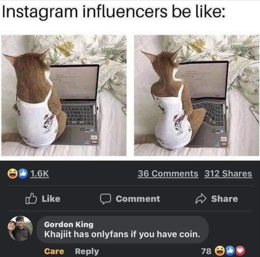 If Khajiits had only fans I would be horrified