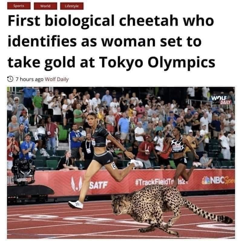 Cheetah is an acceptable trans athlete