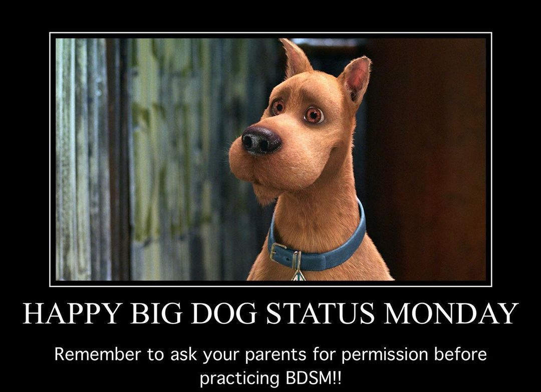 I like big doggos