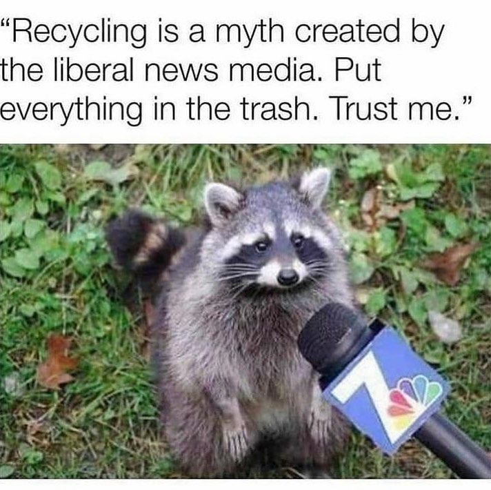 I love trash raccoons