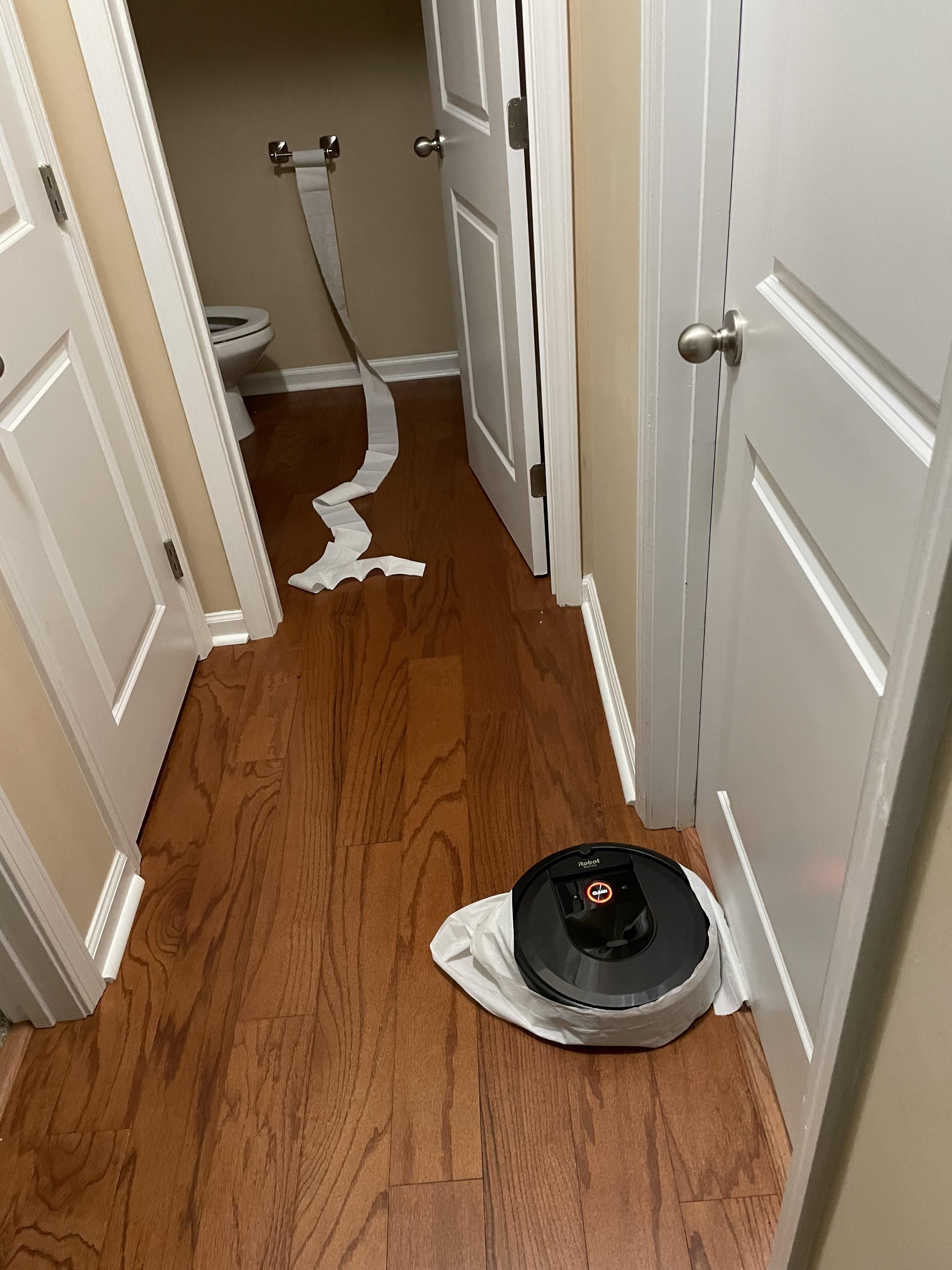 Got a notification to clear my Roomba’s brushes. This wasn’t what I expected.