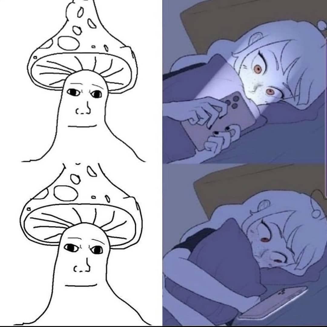 shroomjak is love