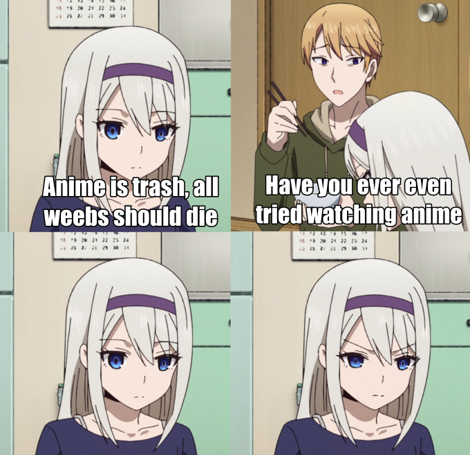 Anime haters in a nutshell