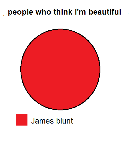 Pie chart about my beauty