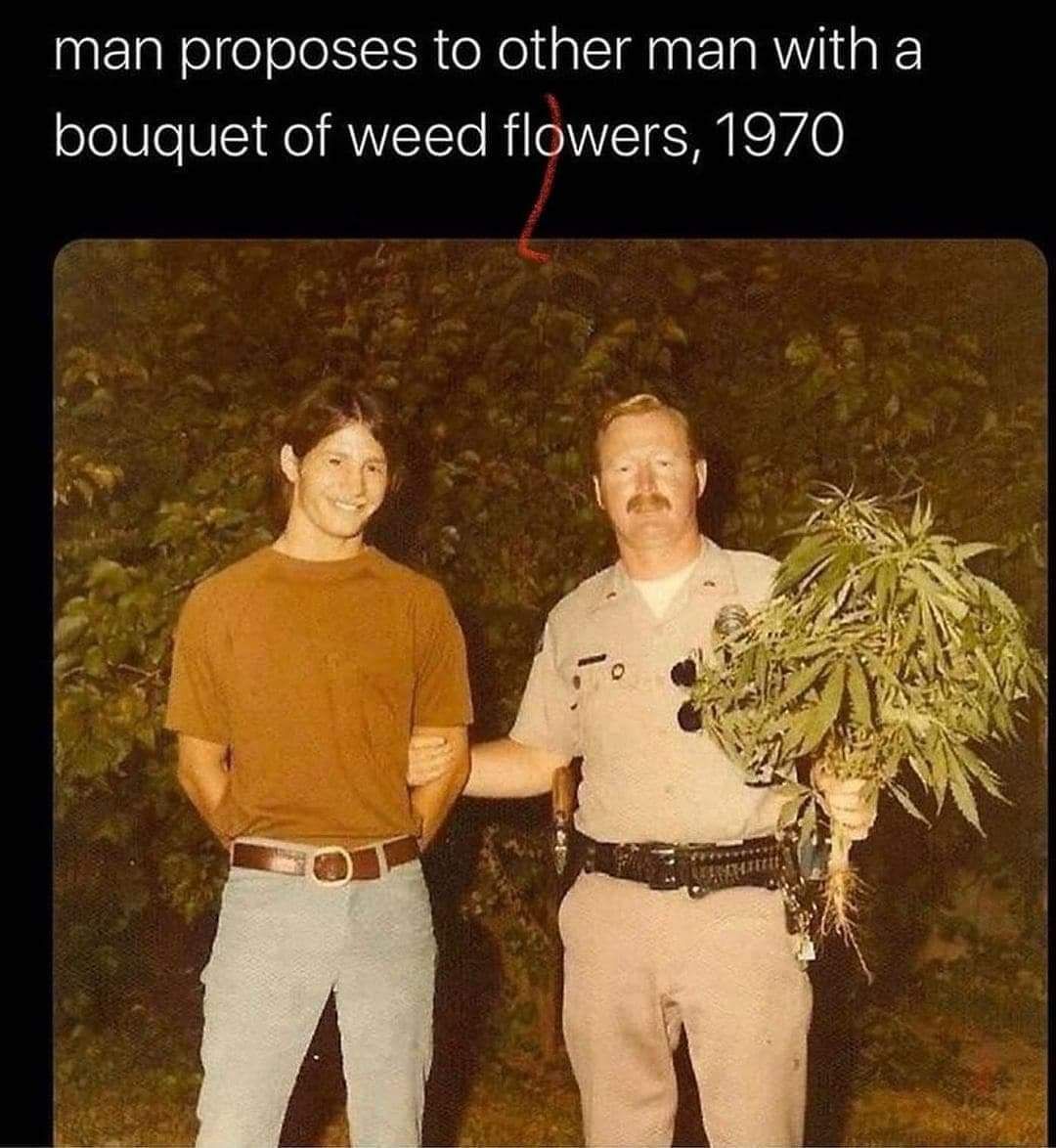 Man proposes to other man with a bouquet of weed flowers, 1970