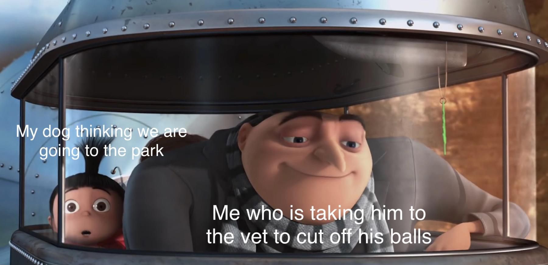 Another potential Despicable Me meme template?
