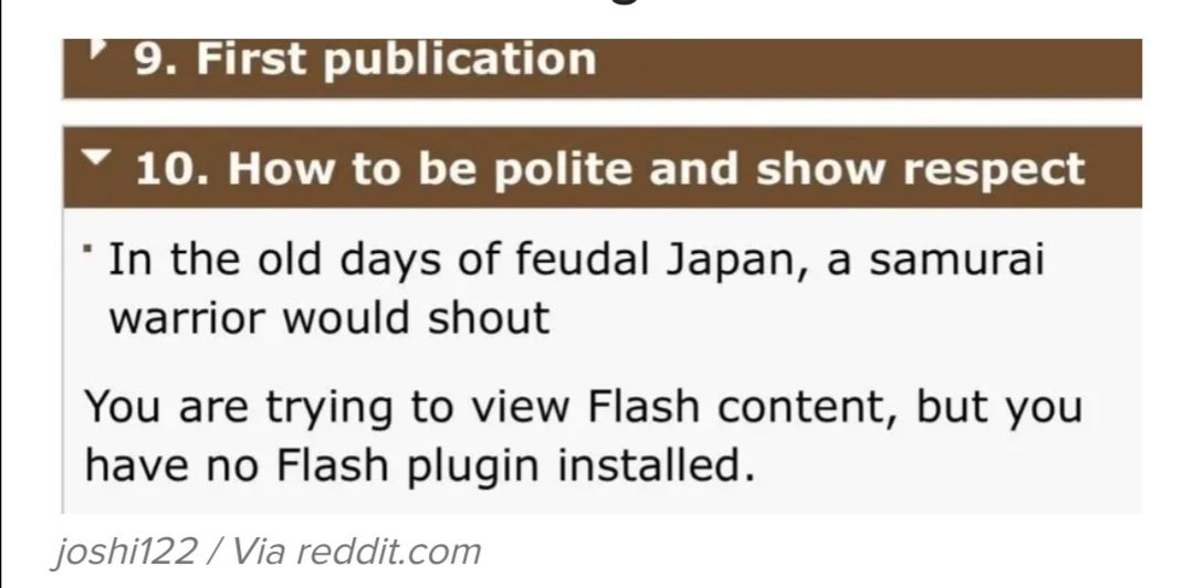 The samurai in feudal japan knew the importance of flash plugins