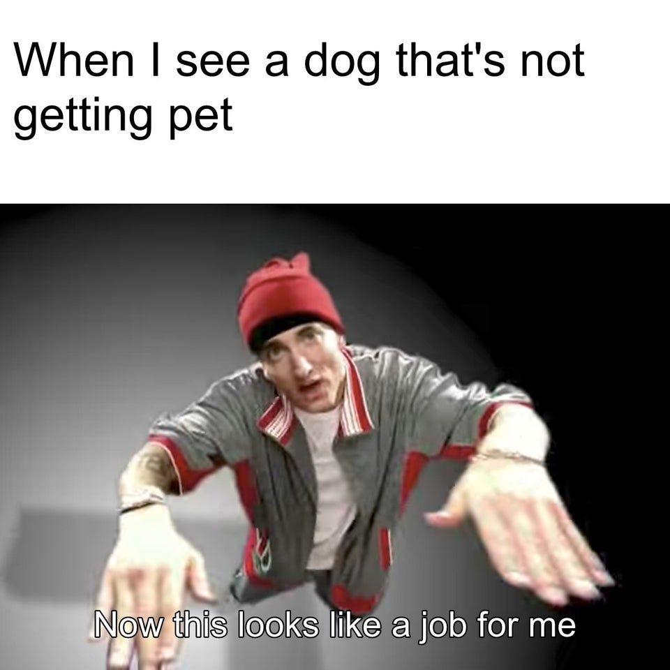 Good doggo