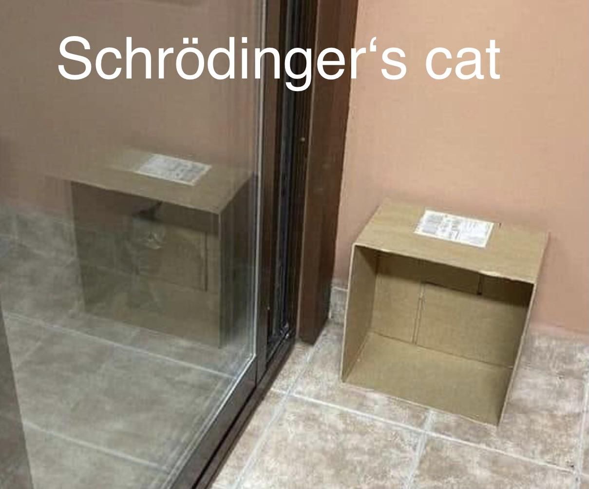 Schrödinger‘s cat