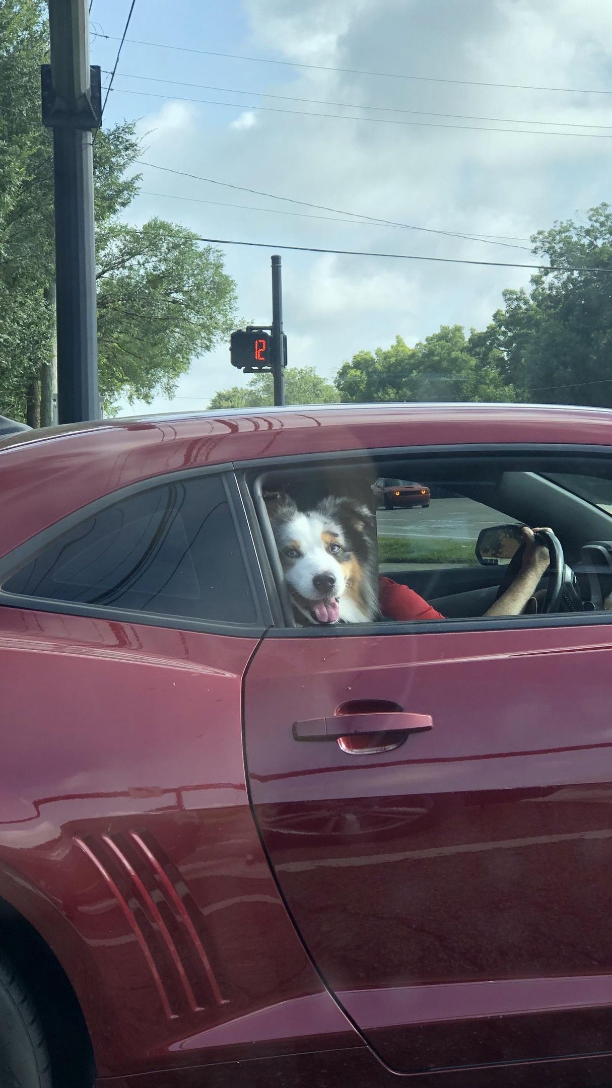 This cute guy checking me out at the light
