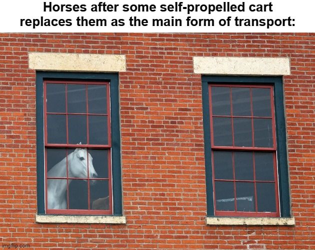 'Humans are driving cars?! Neigh!'