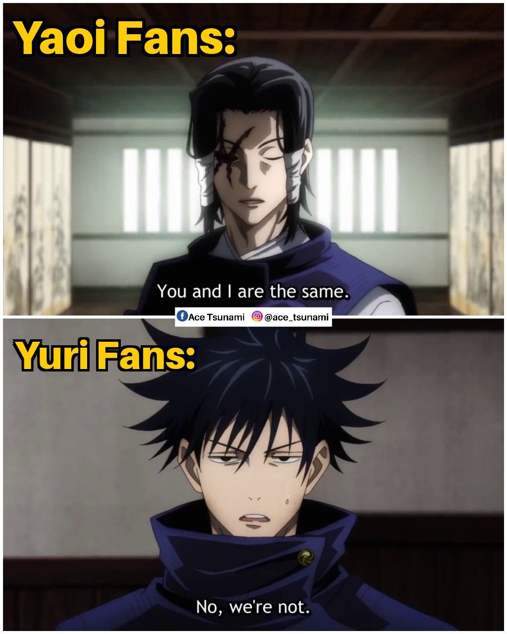 Personally I feel many franchises have more Yaoi ships than Yuri.
