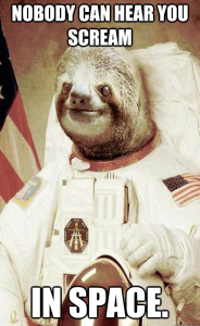 Sloth the astonaut
