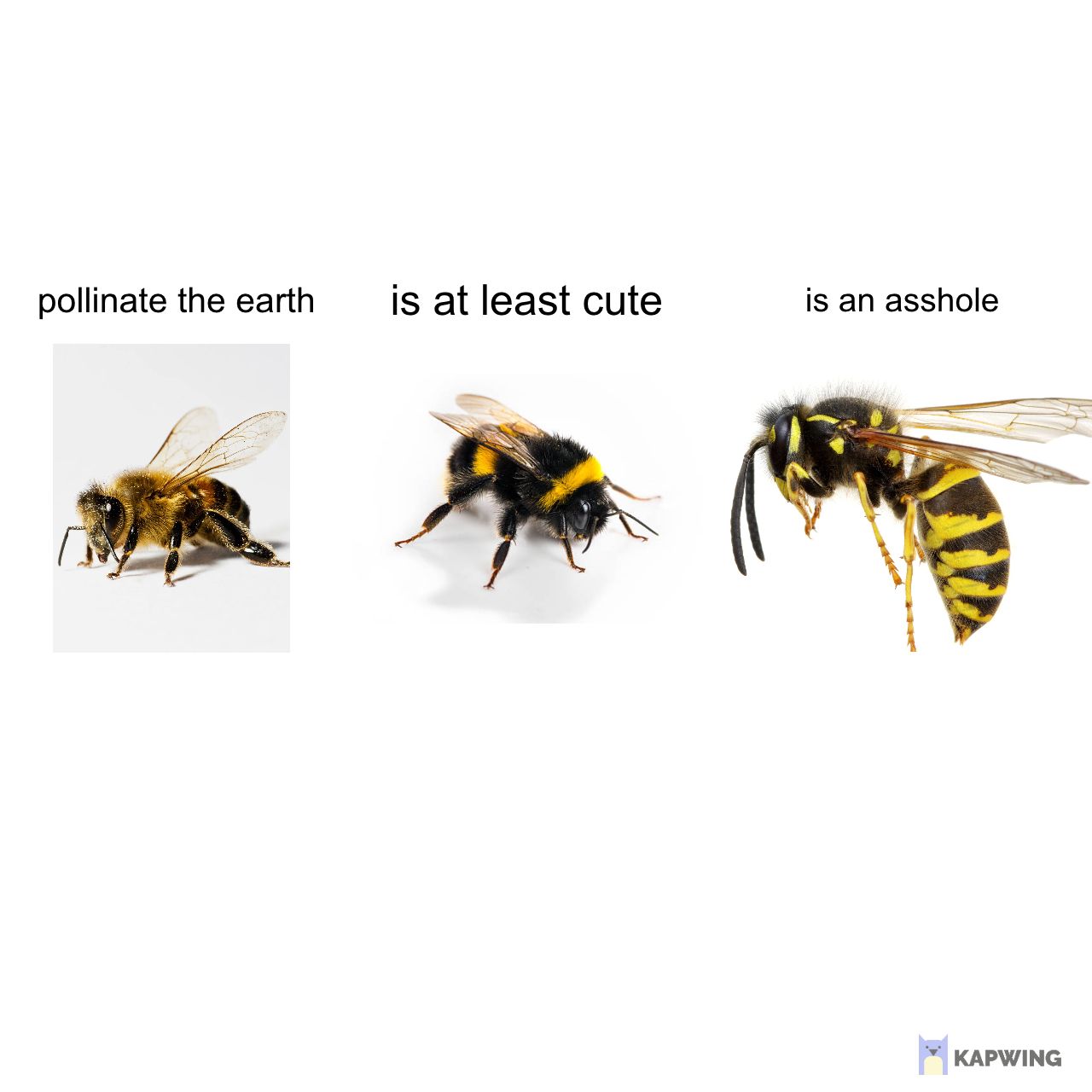 *** wasps