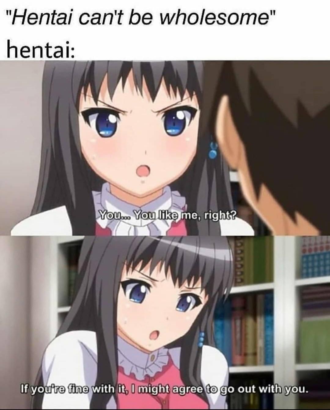 Hentai can be wholesome